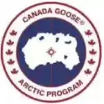 Canada Goose