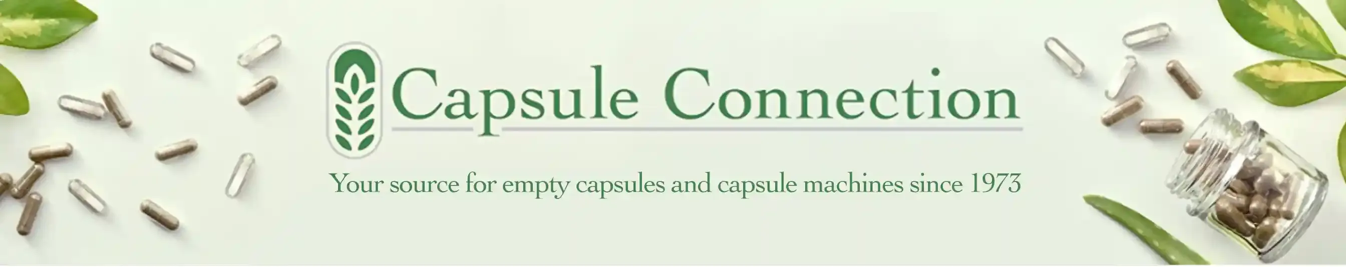 Capsule Connection