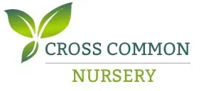 Cross Common Nursery