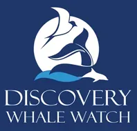 Discovery Whale Watch