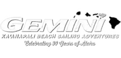 Gemini Sailing