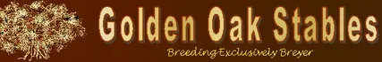 Golden Oak Stables