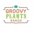 Groovy Plants Ranch