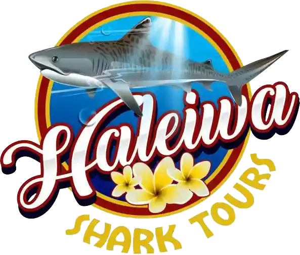 Haleiwa Shark Tours