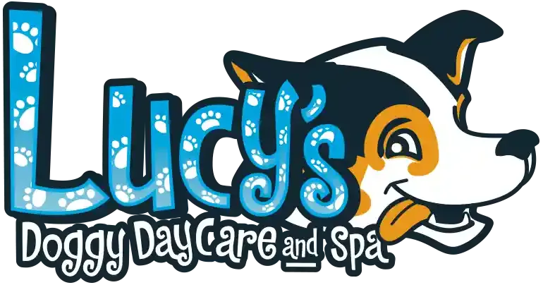 Lucy's Doggy Daycare