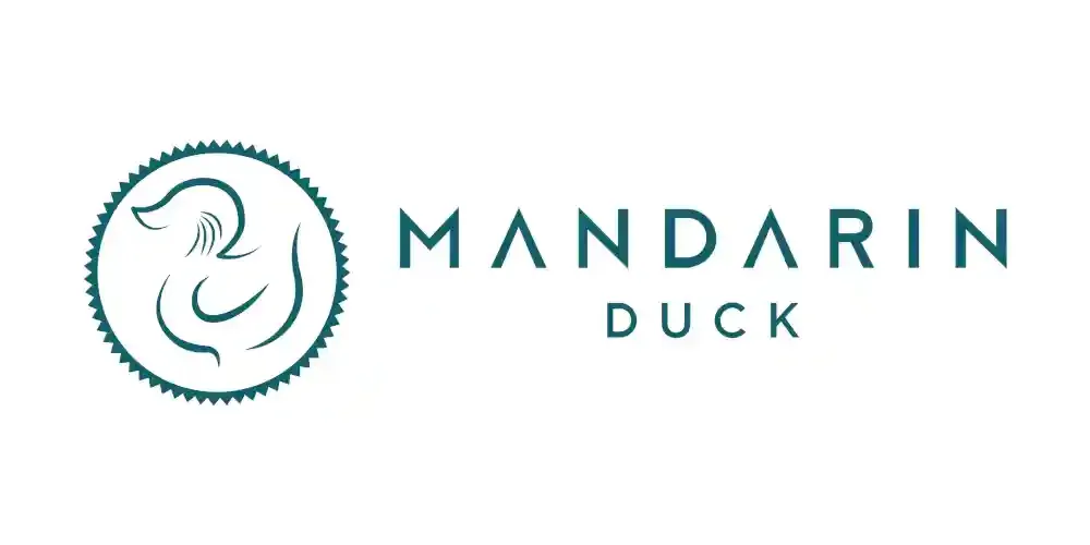 Mandarin Duck