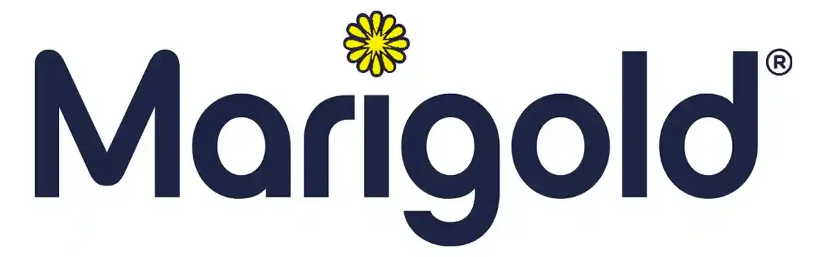 Marigold