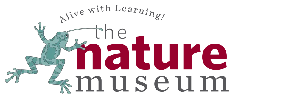 Nature Museum