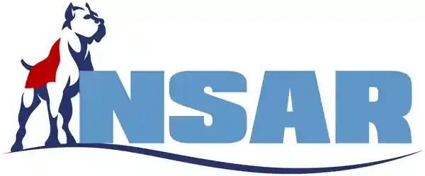 nsar