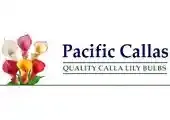 Pacific Callas