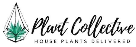 Plant Collective