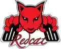 Redcat Racing