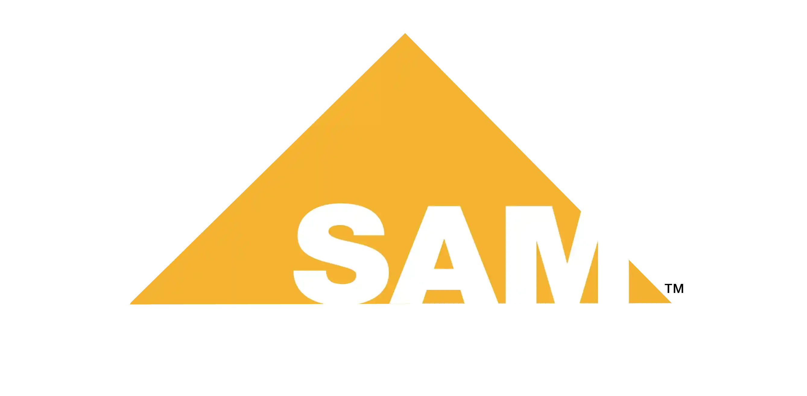 Sales Activity Management