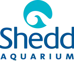 Shedd Aquarium