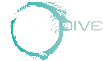 Skydive The Gulf