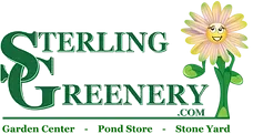 Sterling Greenery