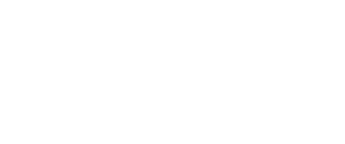 VAVA