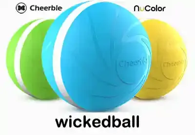 Wicked Ball