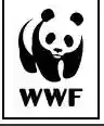 WWF