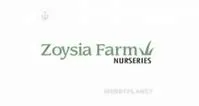 Zoysia Farm Nurseries